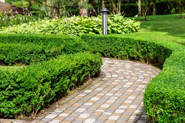 Paved Landscaping in Fairfax