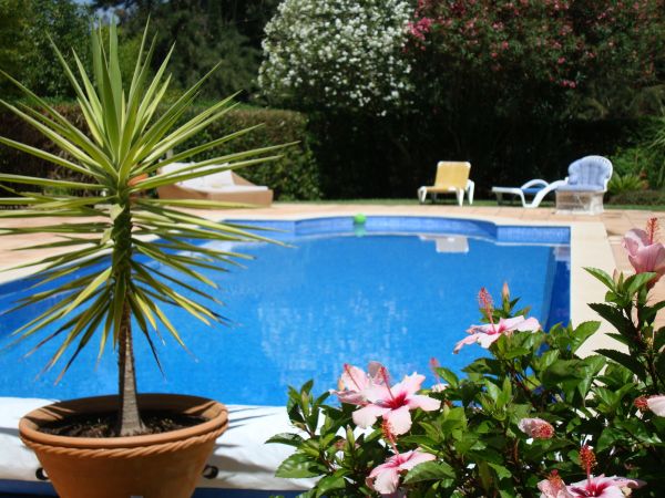 Pool Terrace Renovation in Fairfax