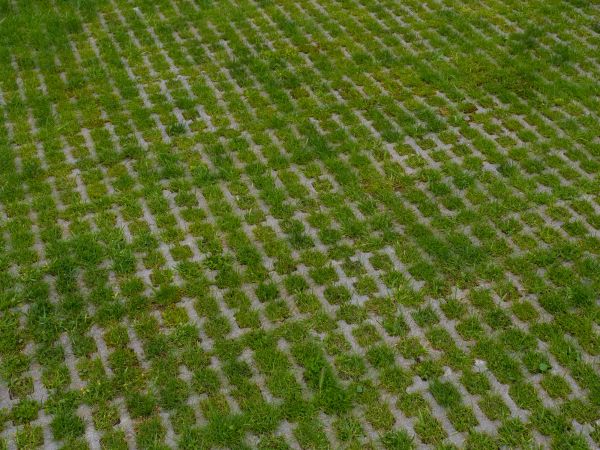 Permeable Pavement Service in Fairfax